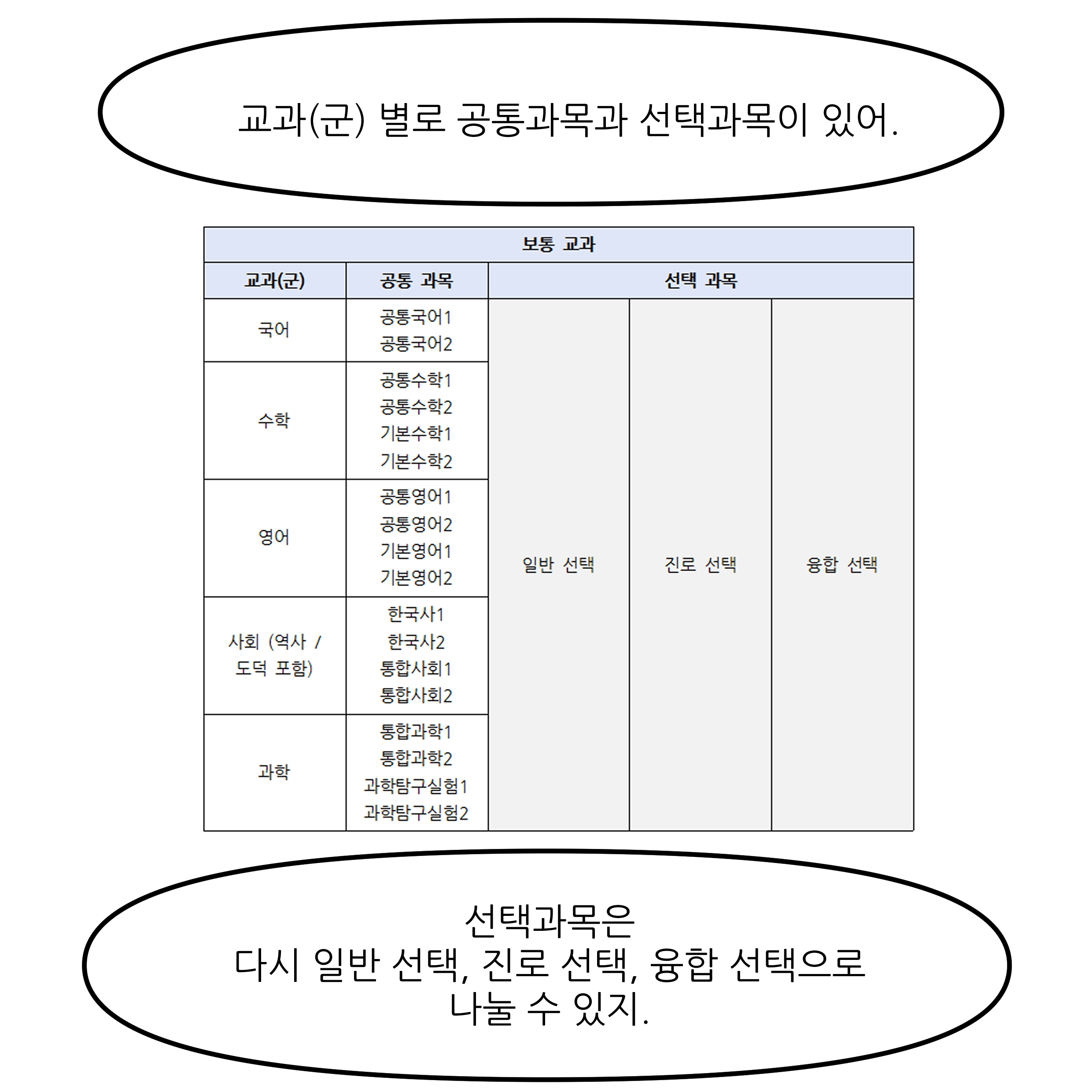 교과(군) 별로 공통과목과 선택과목이 있어. 선택과목은 다시 일반 선택, 진로 선택, 융합 선택으로 나눌 수 있지.